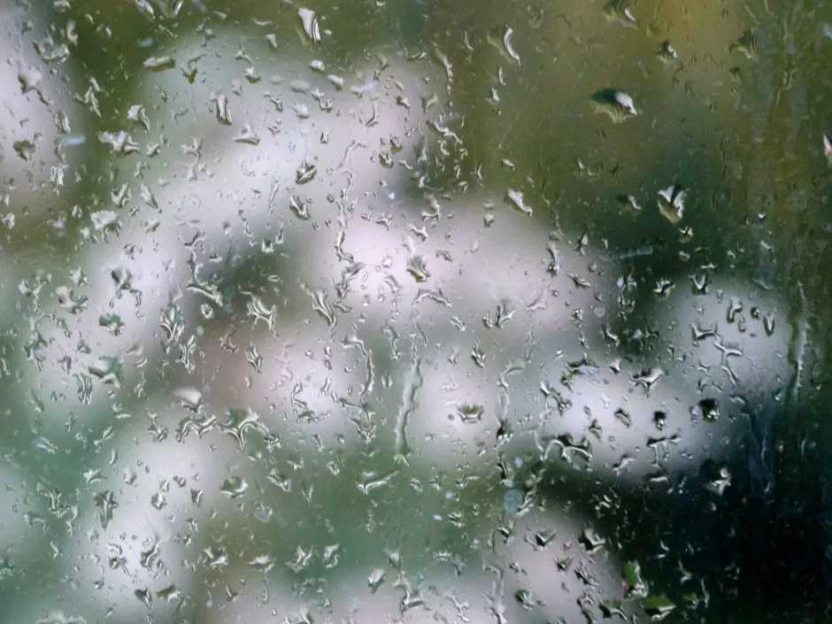 پنجره و نورگیری در ویلای شمال