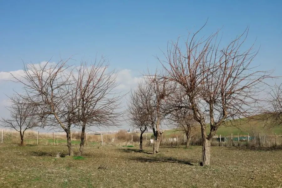 خرید ویلا در عبدالله‌آباد چمستان؛ ۳ کیلومتر تا مرکز