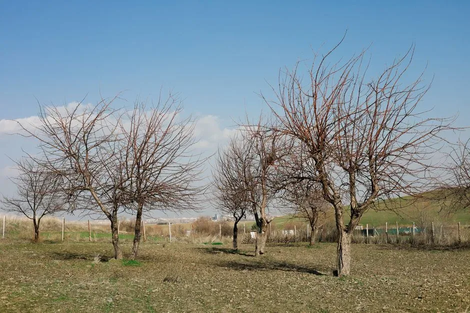 خرید ویلا در عبداللهآباد چمستان؛ ۳ کیلومتر تا مرکز